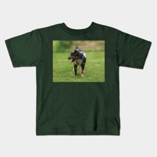 Stunning Australian Shepheard Puppy Kids T-Shirt